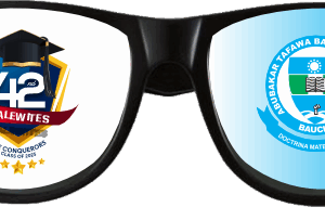 42nd Balewite Wayfarer-style glasses