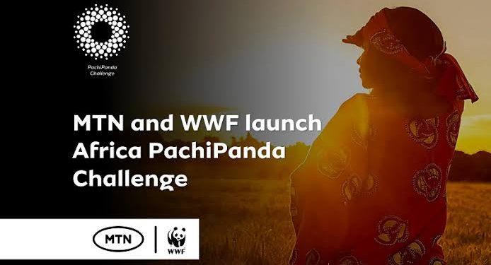 Apply Now: Nigeria PachiPanda Challenge 2025 for Youth and SMEs (Up to N6 Million Grant prizes)