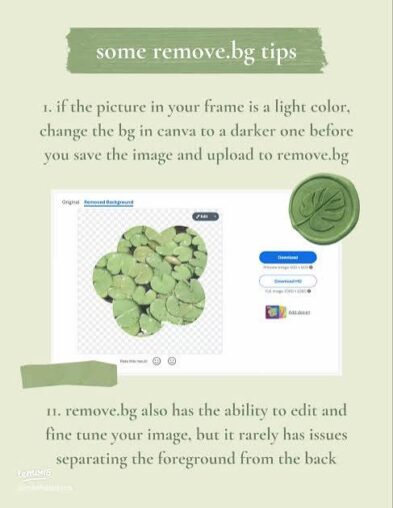 How to Use Free Tools (Canva, Notion, & More) to Launch Any Project