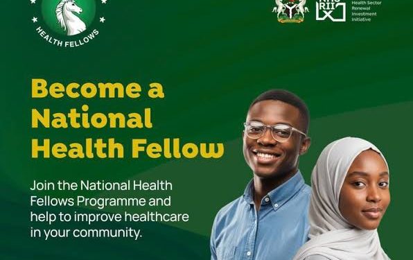 Call For Applications: National Health Fellows Program (NHFP) 2025/2026 – 12-Month Leadership Fellowship for Young Professionals