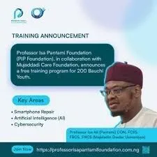 Call For Applications: Upskilling Digital Tech Smartphone Repair Training with AI and Cybersecurity Mentorship Pantami Foundation