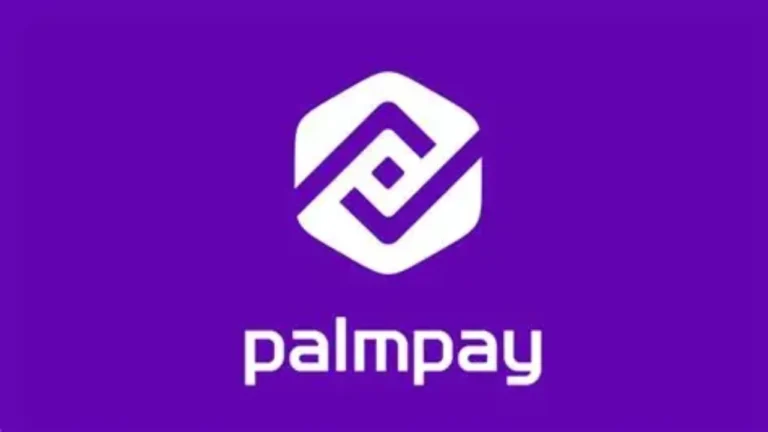 PalmPay Graduate Trainee Program 2026 for Nigerians