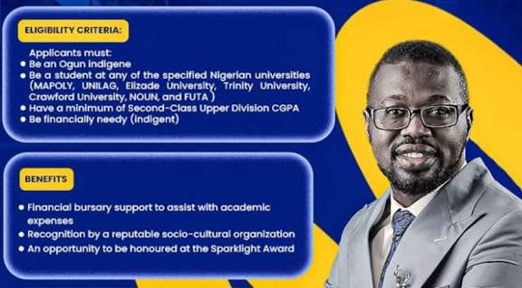 Dr. Tosin Adesile Bursary Award 2026