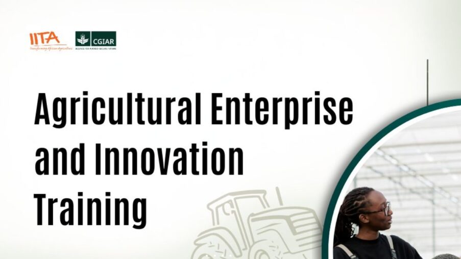 Call for Applications: IITA Agricultural Enterprise and Innovation Training Program 2026 (Online Training with Funding Opportunities)