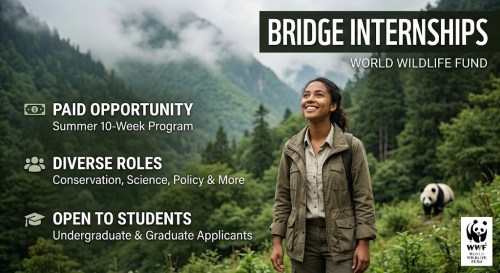Call For Applications: BRIDGE – WWF Summer Internship Program 2026