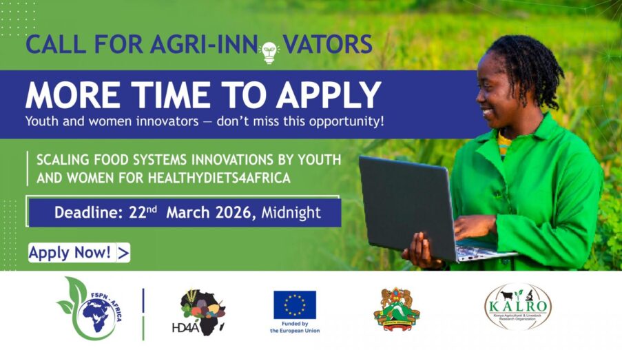 Call for Applications: HealthyDiets4Africa Agribusiness Accelerator Program (Cohort III)