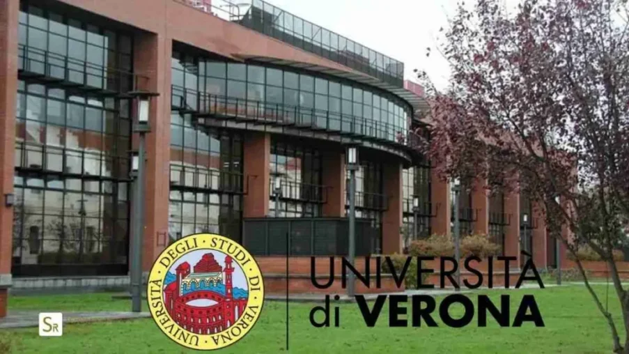2026 University of Verona Scholarship in Italy 