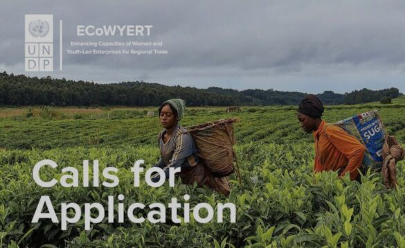 The UNDP Enhancing Capacities of Women and Youth-led Enterprises for Regional Trade (ECoWYERT) Program 2026