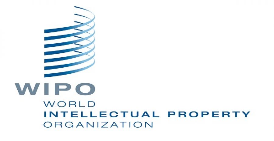 The WIPO Global Innovation Index Fellowship 2027 for international research (6,000 CHF monthly stipend and funded to Geneva, Switzerland)